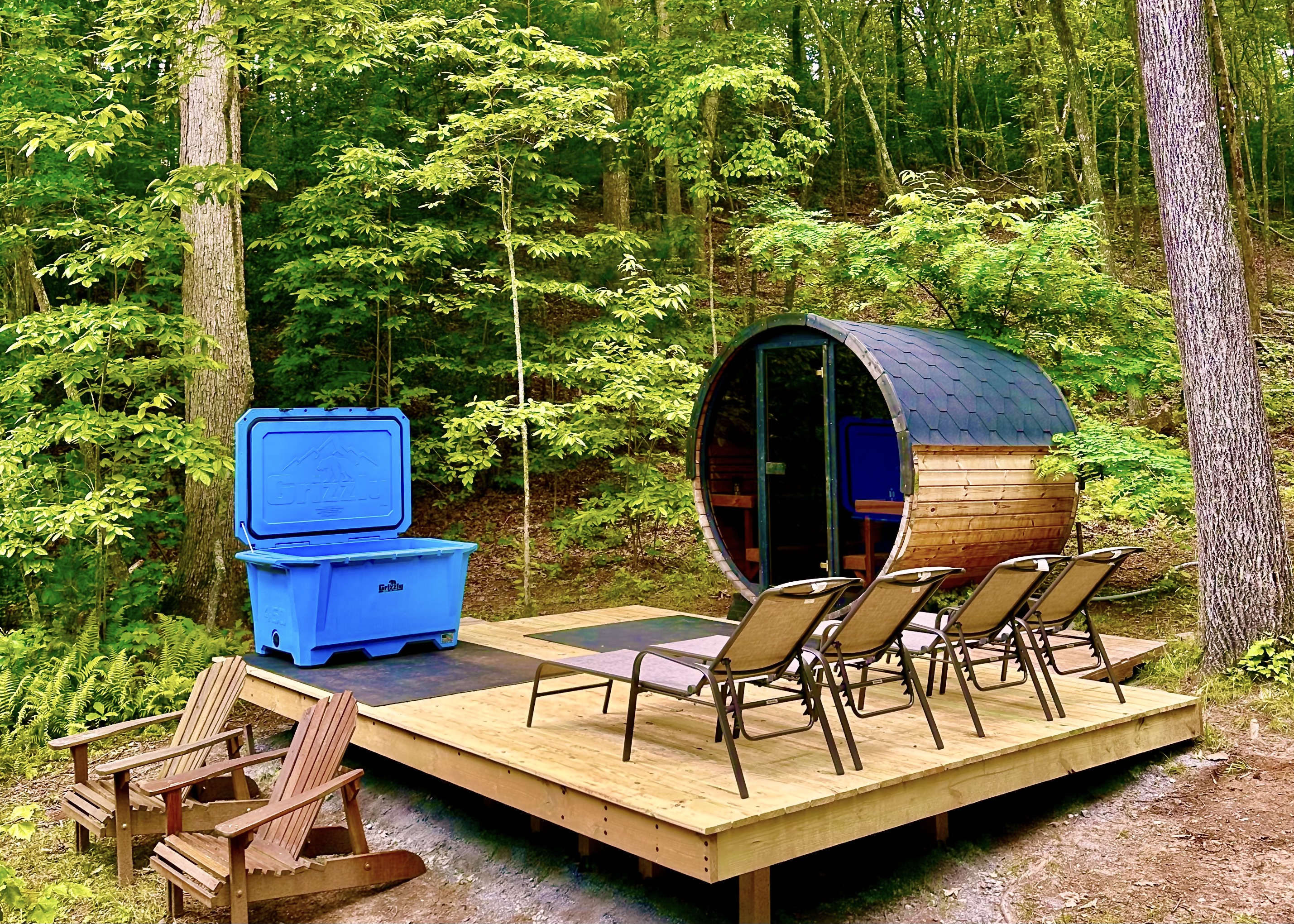 Treehouse Mountain, Tennessee - SaunaLife EE8G