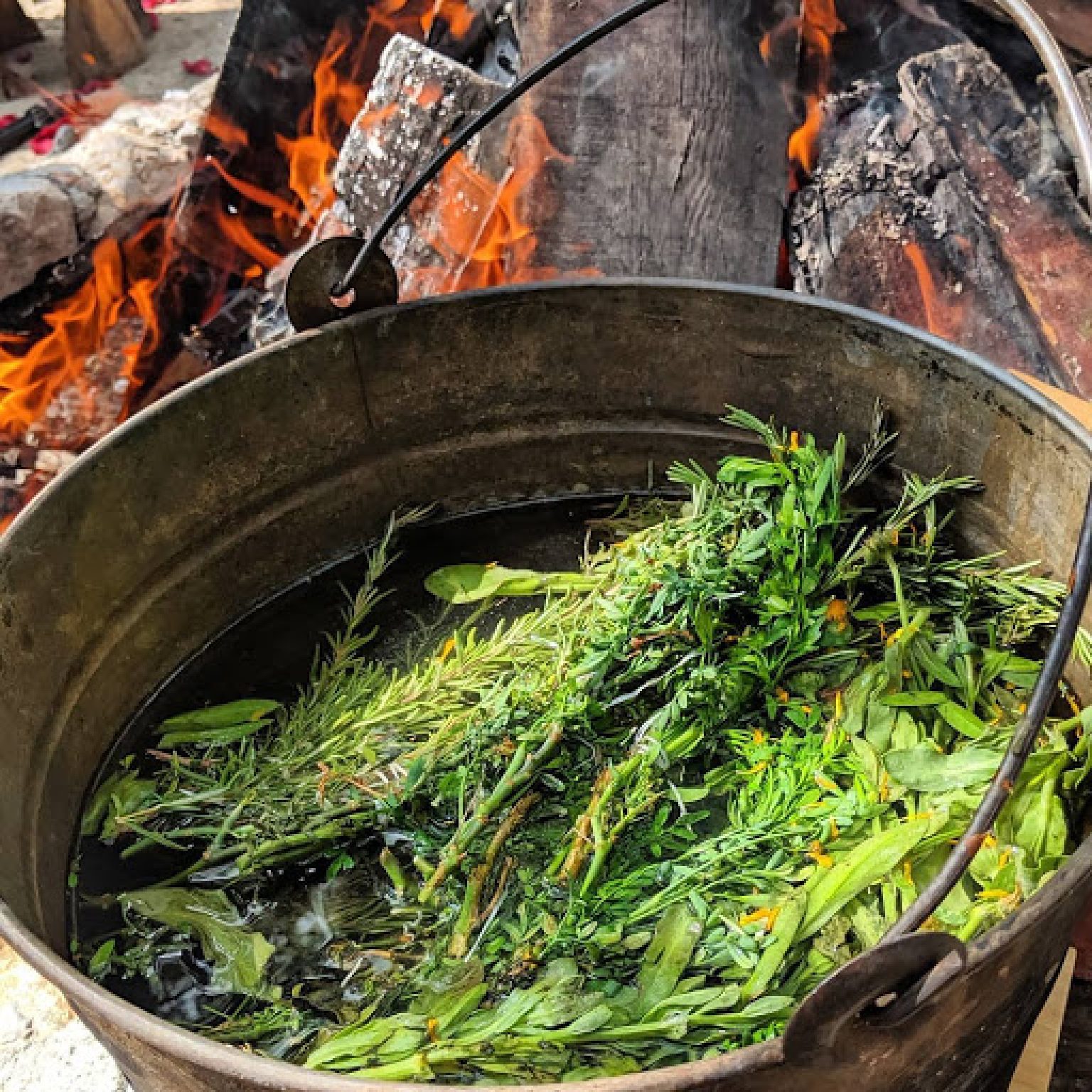 best sauna in mexico combines old traditions with new