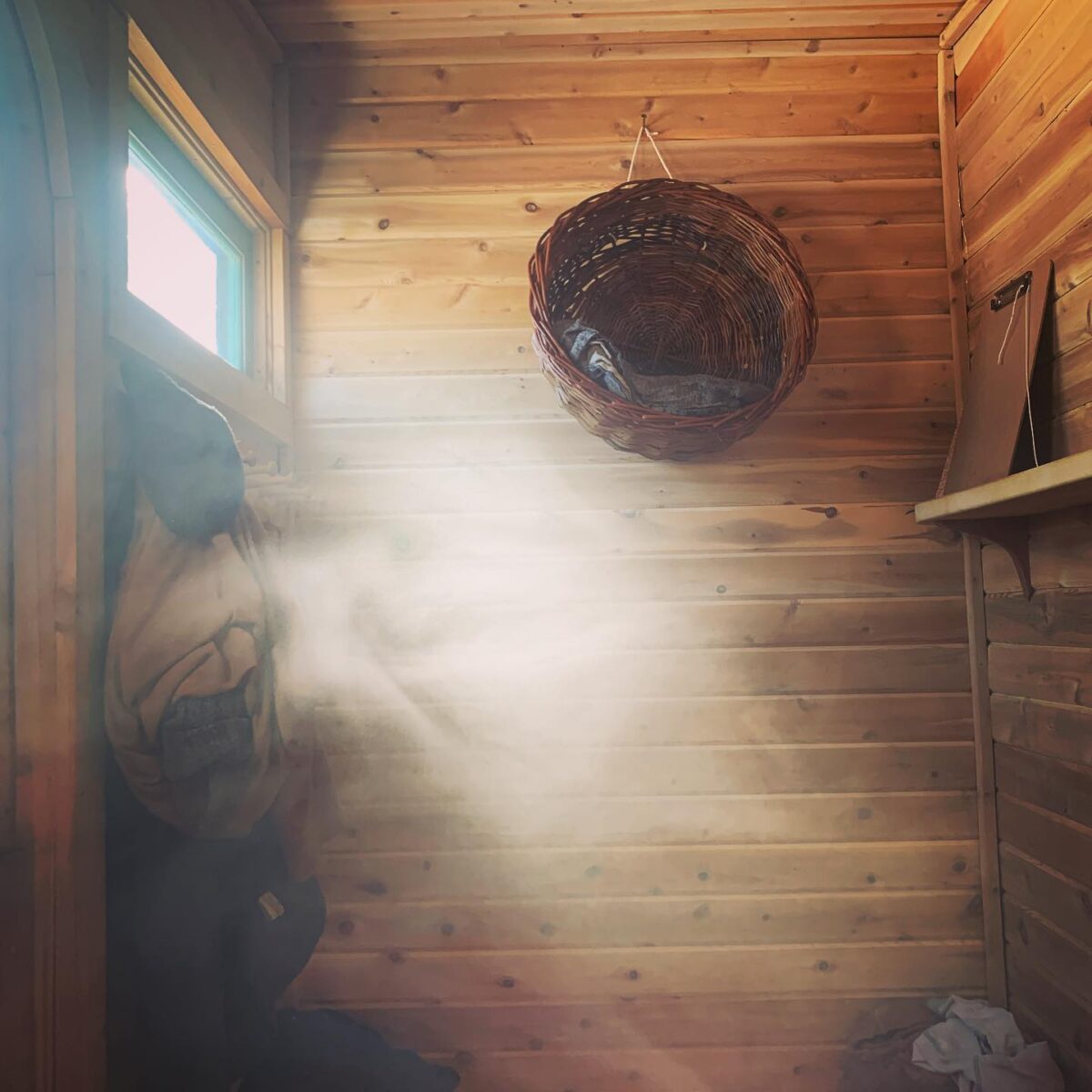 Cedar Grove Mobile Sauna - Image 3